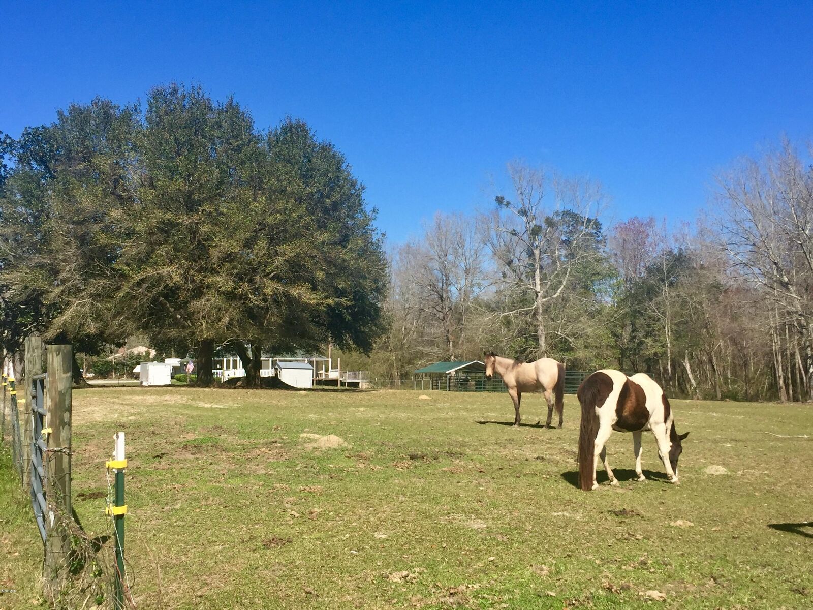 Property Photo:  20048 Borzik Road  MS 39574 