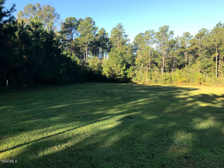 Property Photo: Lot 126 Oak Creek Cove MS 39503