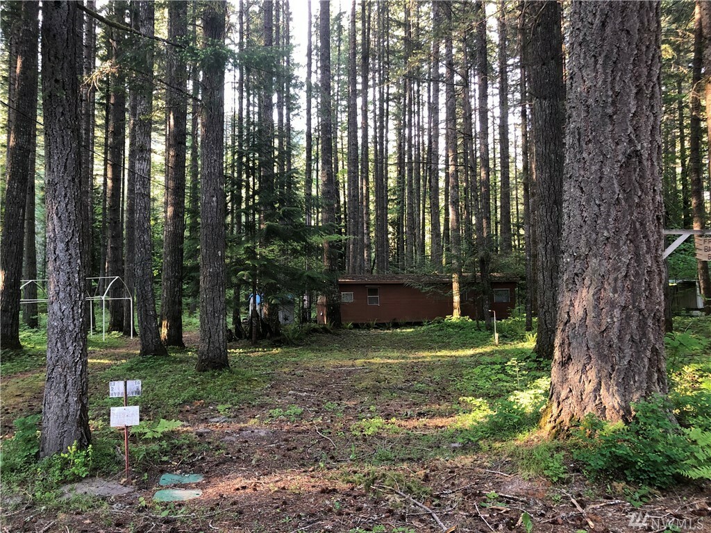 Property Photo:  250 Mountain View Dr  WA 98361 