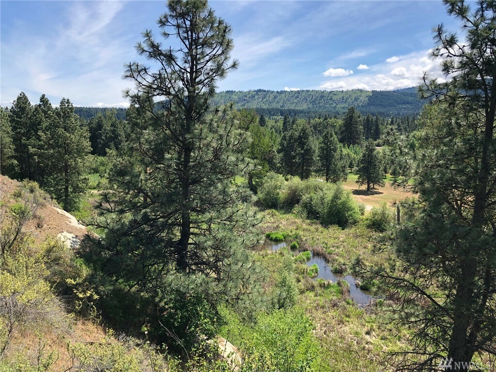 Property Photo:  3581 Hwy 970 (Lot 2)  WA 98922 