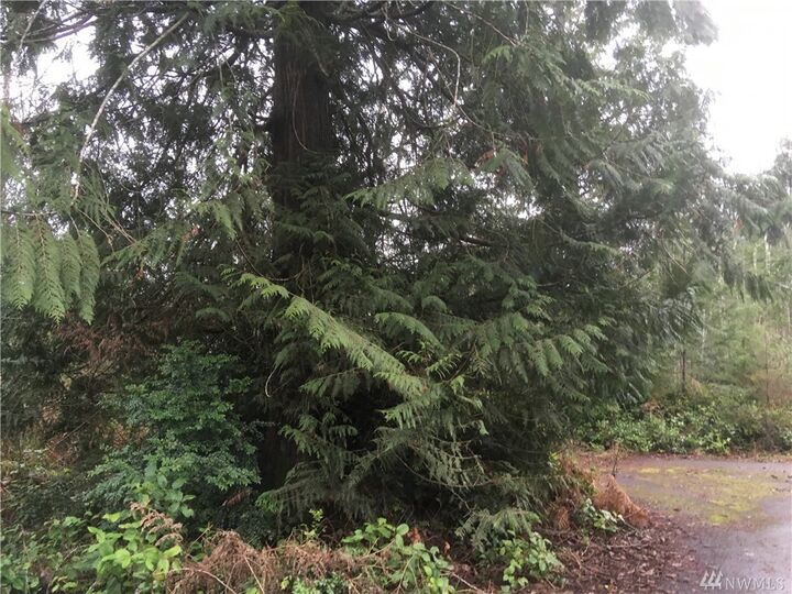 0 McMicken Road  Lot #A  Shelton WA 98584 photo