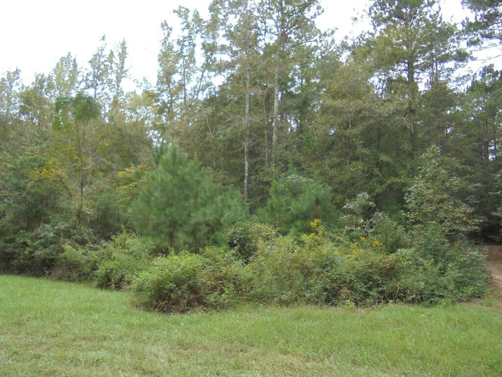 Property Photo:  00 NE Lake View Drive  GA 30824 