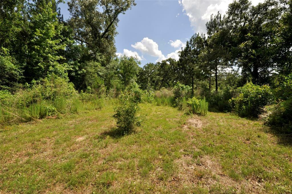 Property Photo:  26150 Grand Pines Road  TX 77355 