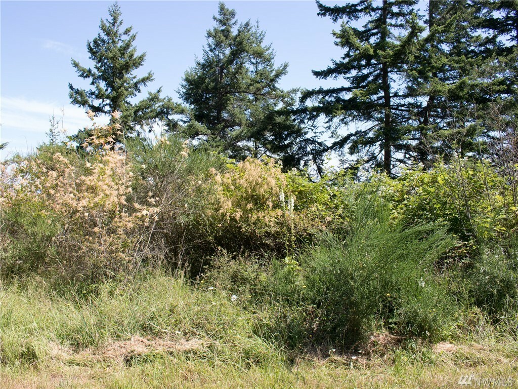 Property Photo: 3070 Mt Vista Dr WA 98262