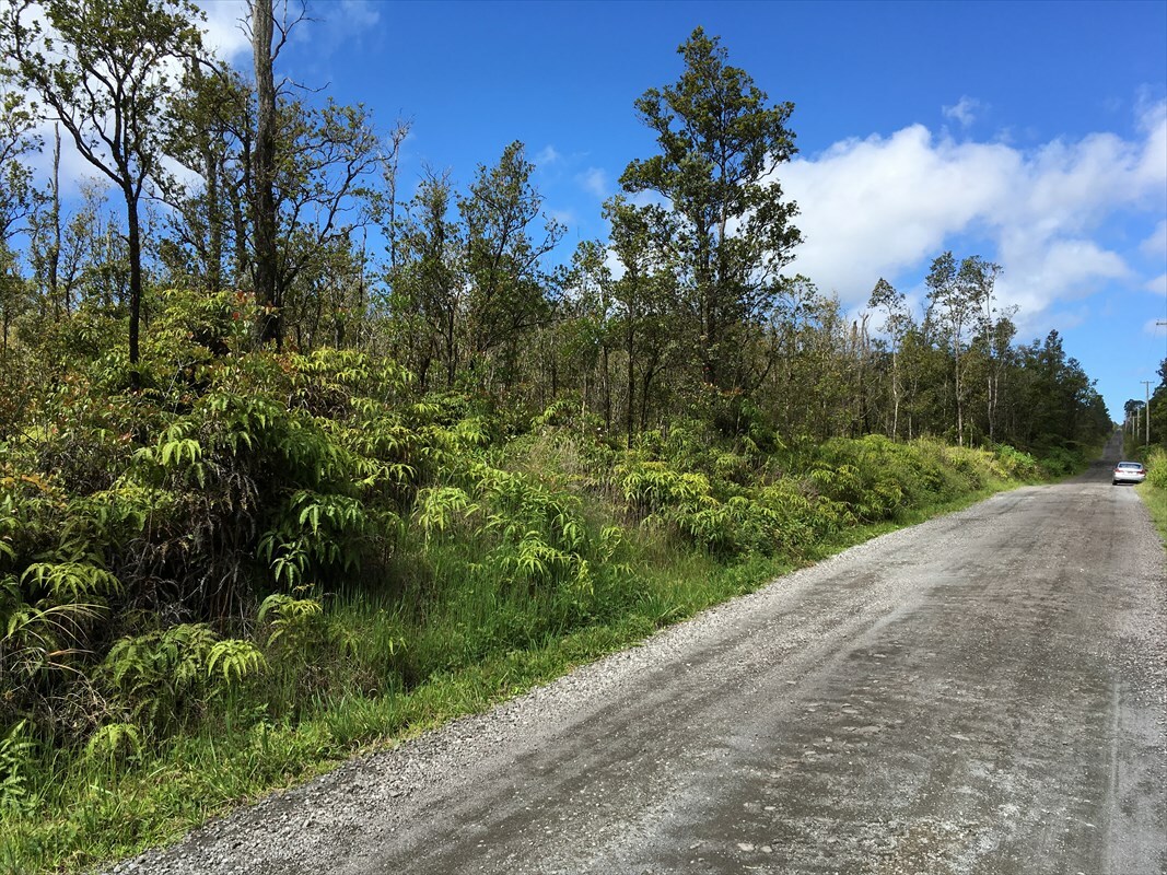 11-2245 Kokokahi Road  Mountain View HI 96771 photo