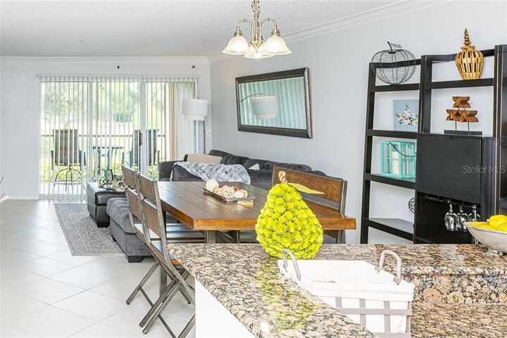 Property Photo: 2400 Feather Sound Drive 515 FL 33762