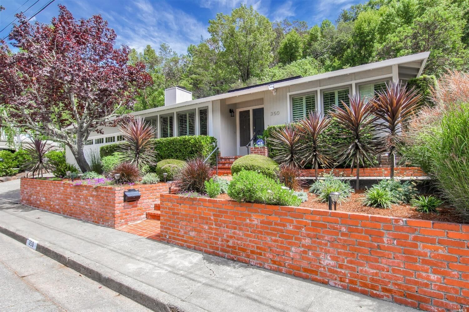 Property Photo: 350 Mountain View Avenue CA 94901
