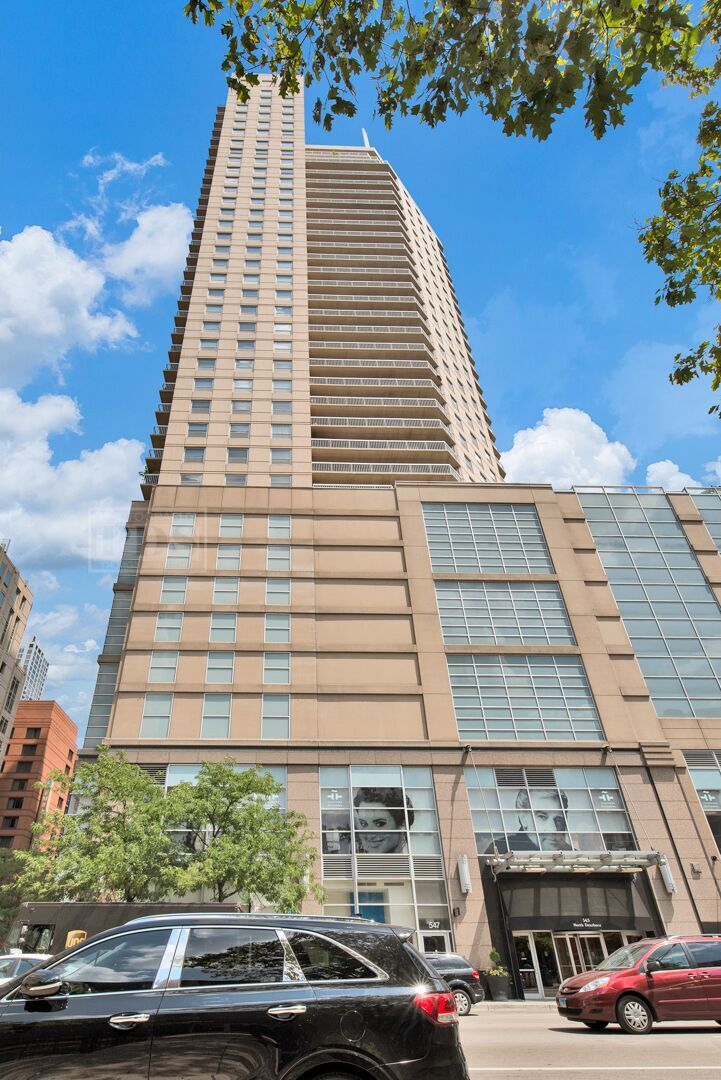 Property Photo:  545 N Dearborn Street W2905  IL 60654 