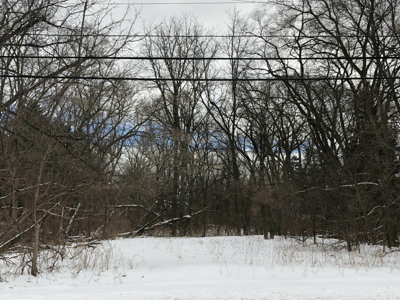 Property Photo:  3940 Lilly Rd  WI 53005 