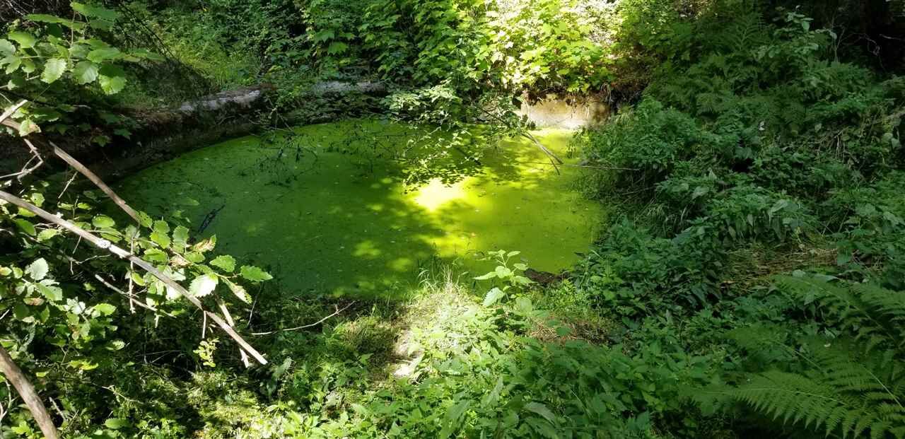 Property Photo: 1301 Thompson Rd WA 99156