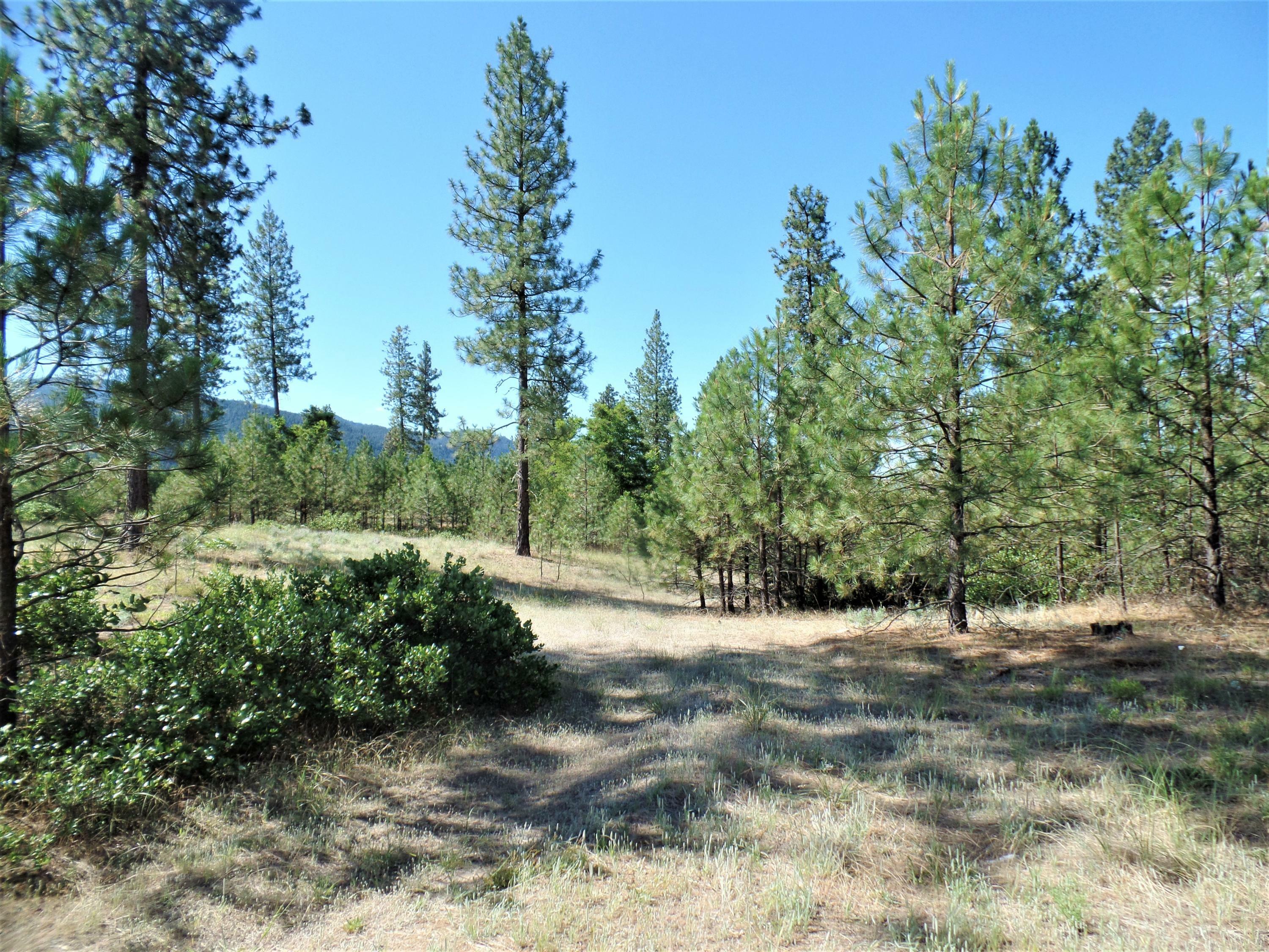 Property Photo:  Lot 110 Old Kettle Rd  WA 99141 