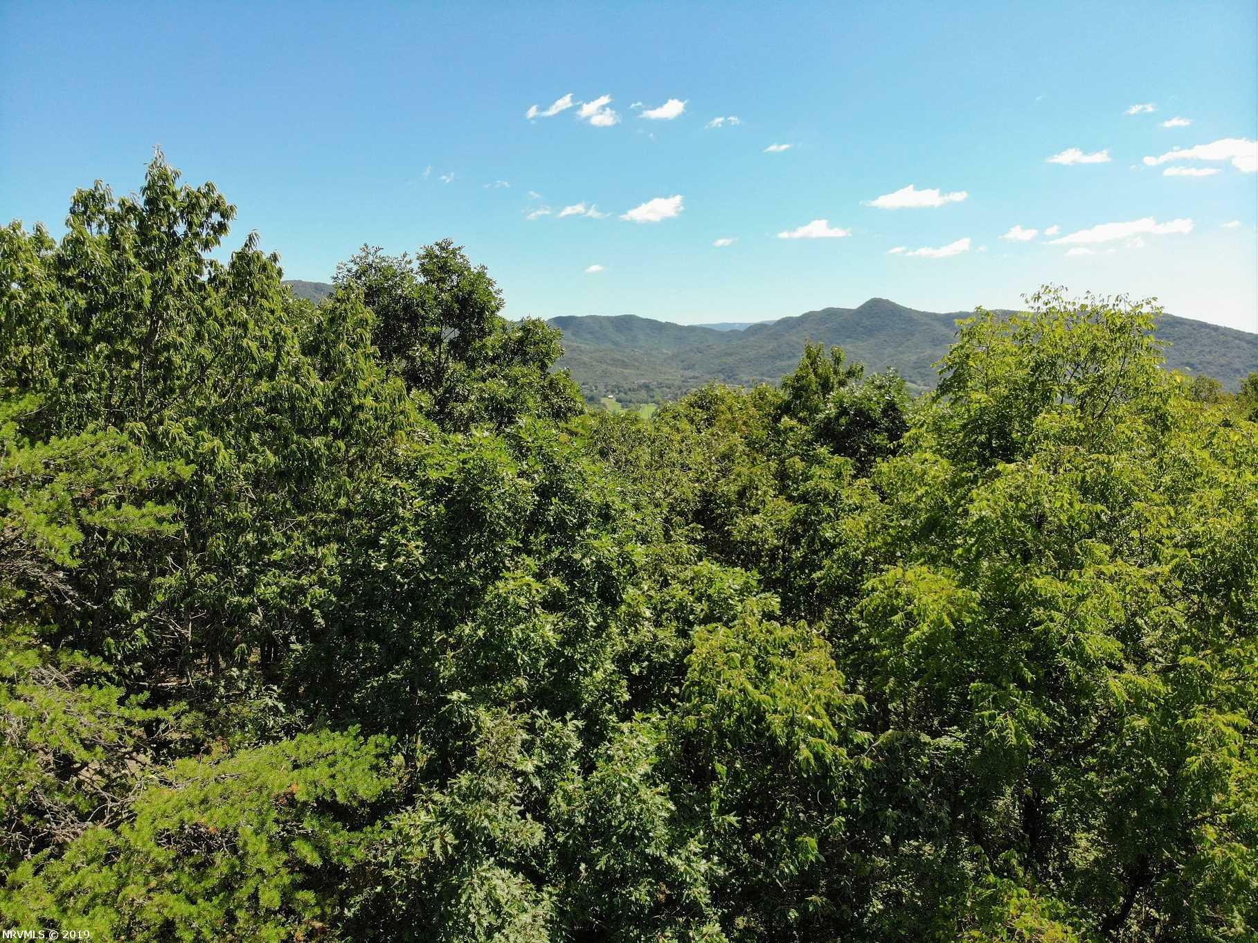 Property Photo:  1099 Nellies Cave Road  VA 24060 