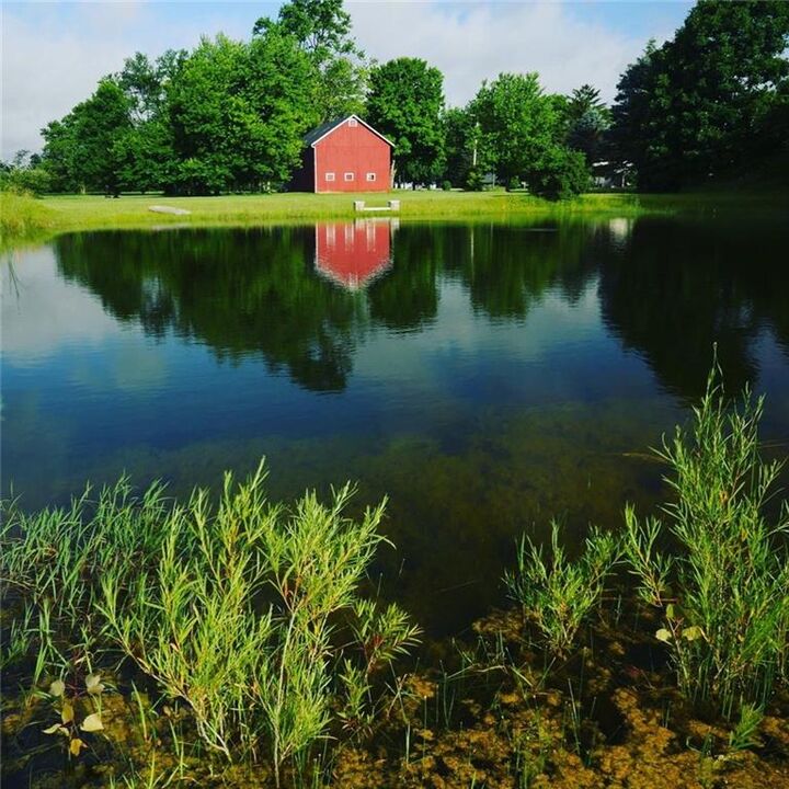 4087 Miller Road  Springfield OH 45502 photo