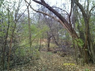 Property Photo:  28624 W Kendall Avenue  IL 60081 
