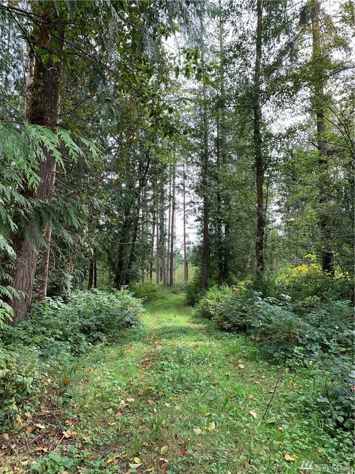 Property Photo:  Xx Hoogdal Rd  WA 98284 