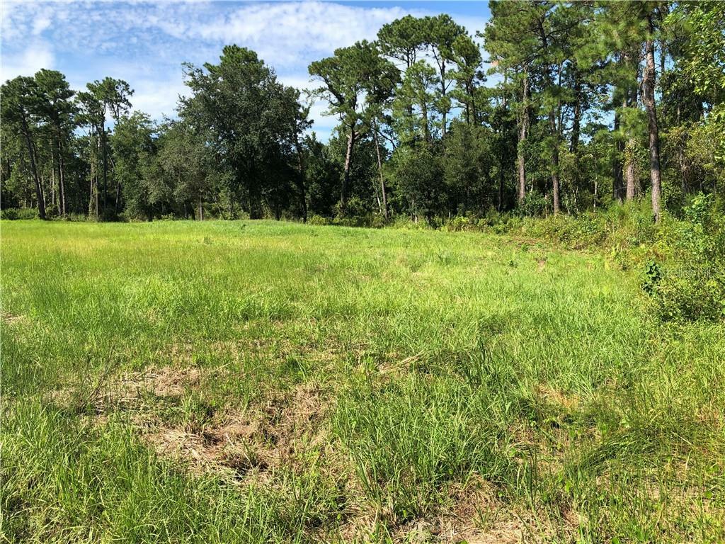 Property Photo:  SW Mills Creek  FL 32766 