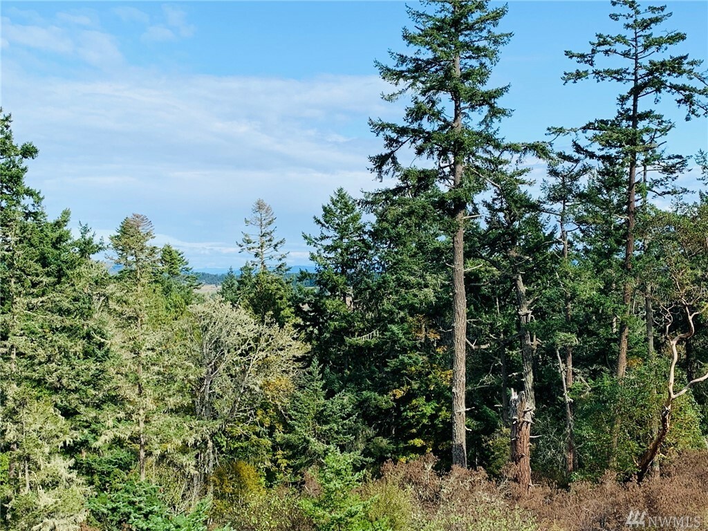 Property Photo:  642 Evergreen Lane  WA 98250 