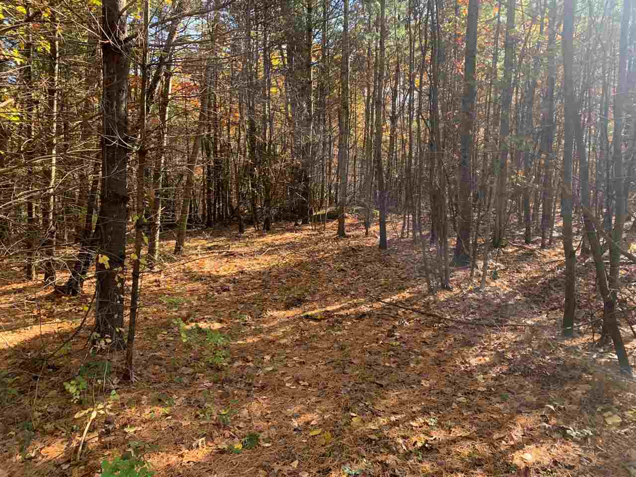 Property Photo:  141 Joppa Road  NH 03054 