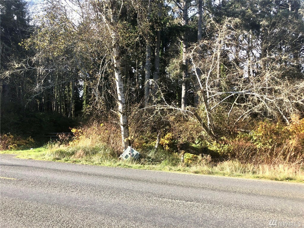 Property Photo:  2579 State Rt 109  WA 98569 