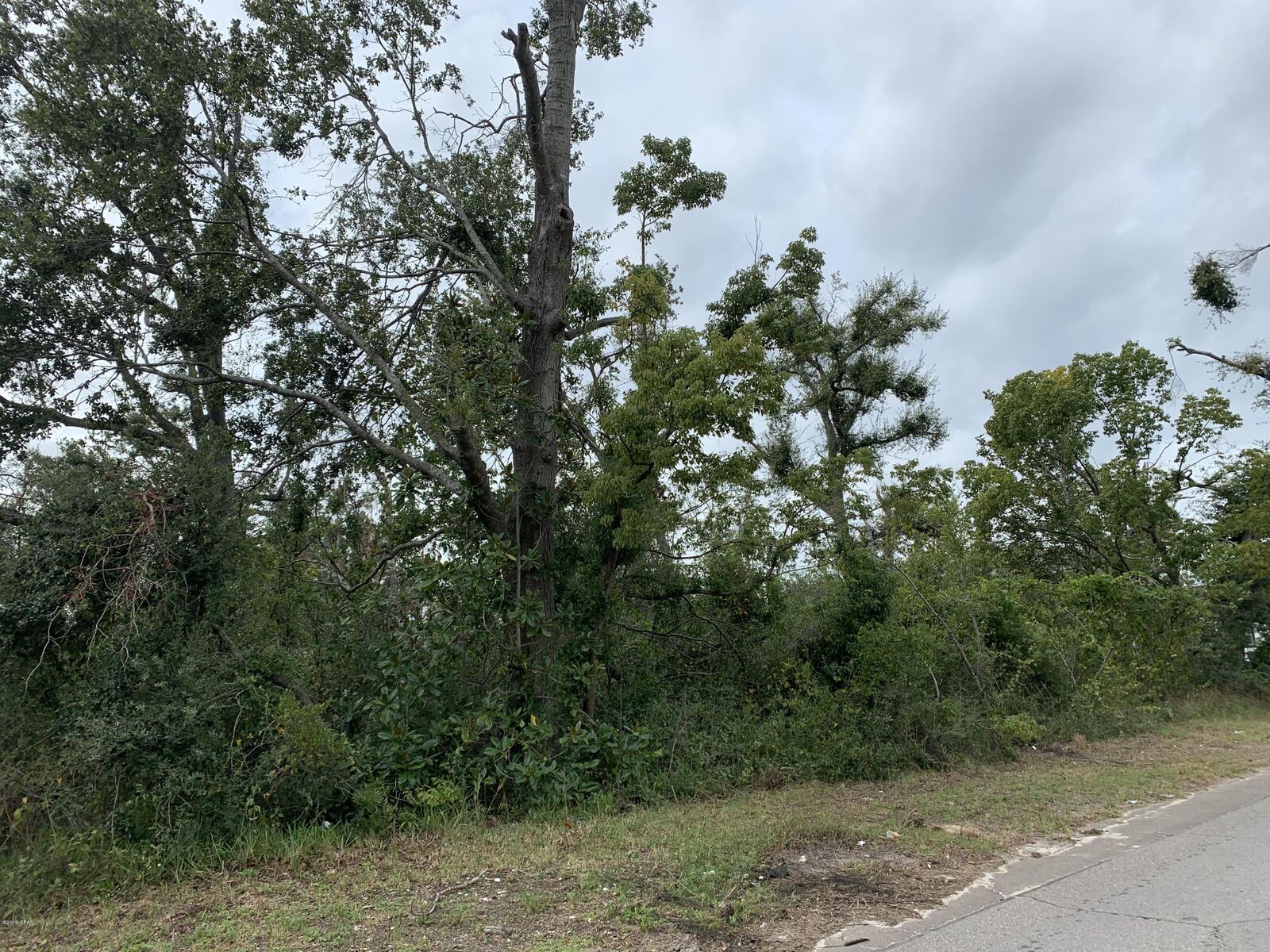 Property Photo:  1517 Fortune Avenue  FL 32405