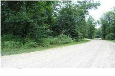 Property Photo: Parcel 2 Ruffed Grouse Drive MI 49344