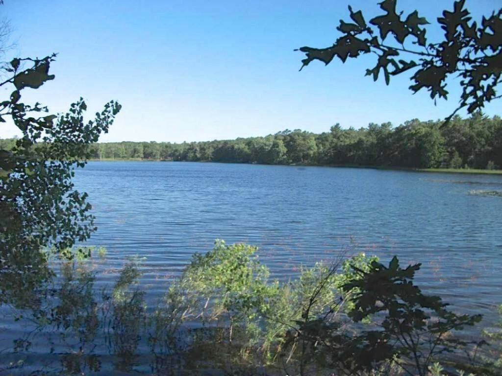 Property Photo: Parcel B Park Street MI 49457