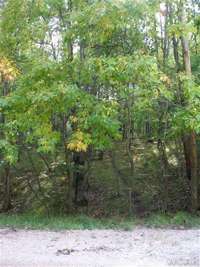 Property Photo:  9795 Pere Marquette Drive  MI 49346 