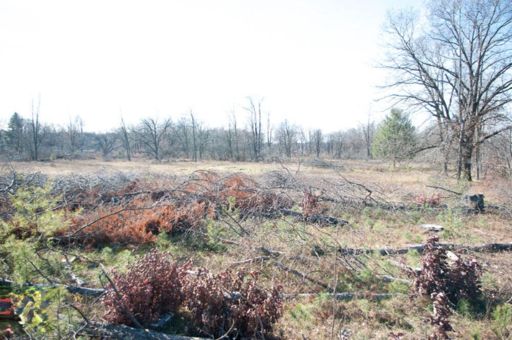 Property Photo: 0 W Edgar MI 49329