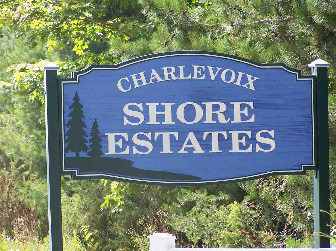 Property Photo: 0 Ferry MI 49727