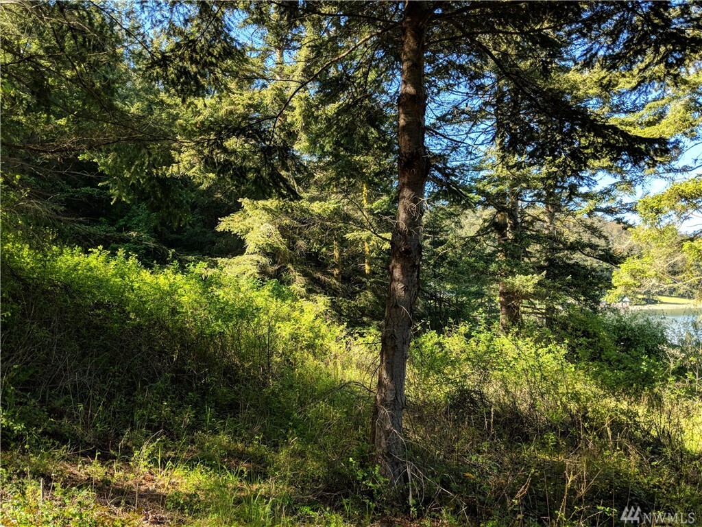 Property Photo: 0 Schruder Rd WA 98261