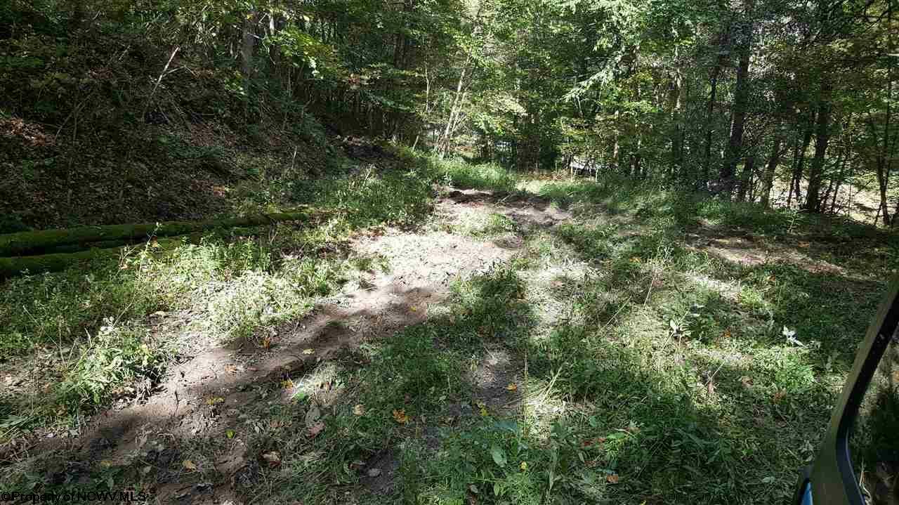 Property Photo:  Pell Road  WV 26537 