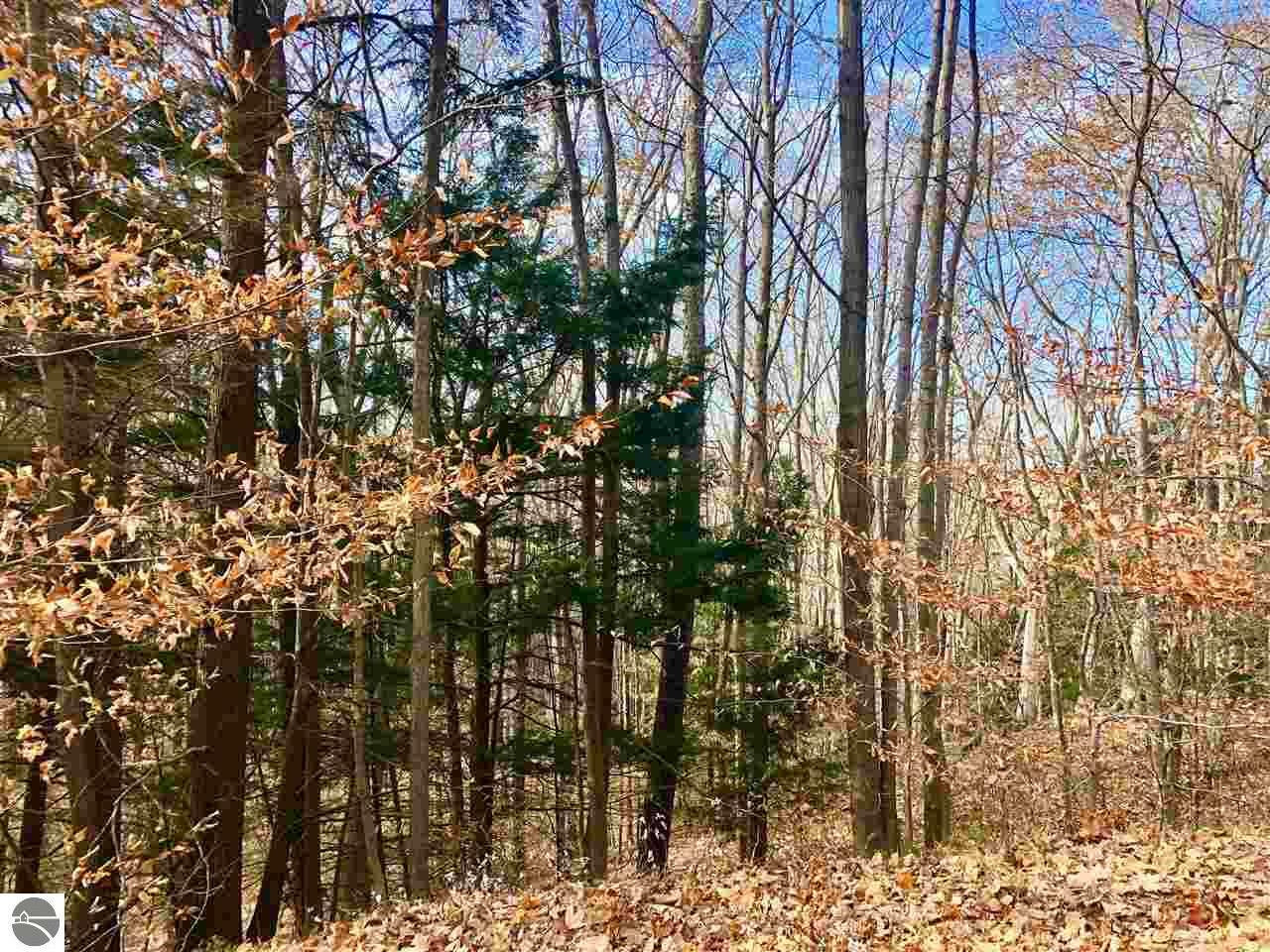 Property Photo: 0000 Tree Tops Lane MI 49635