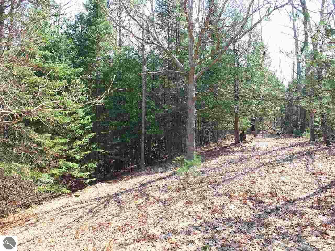 Property Photo:  Parcel A Hodge Road  MI 49649 