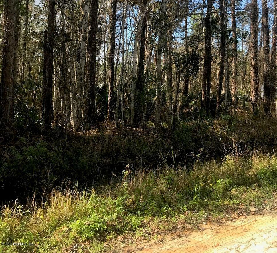 Property Photo:  0 Amberjack Street  FL 32189 