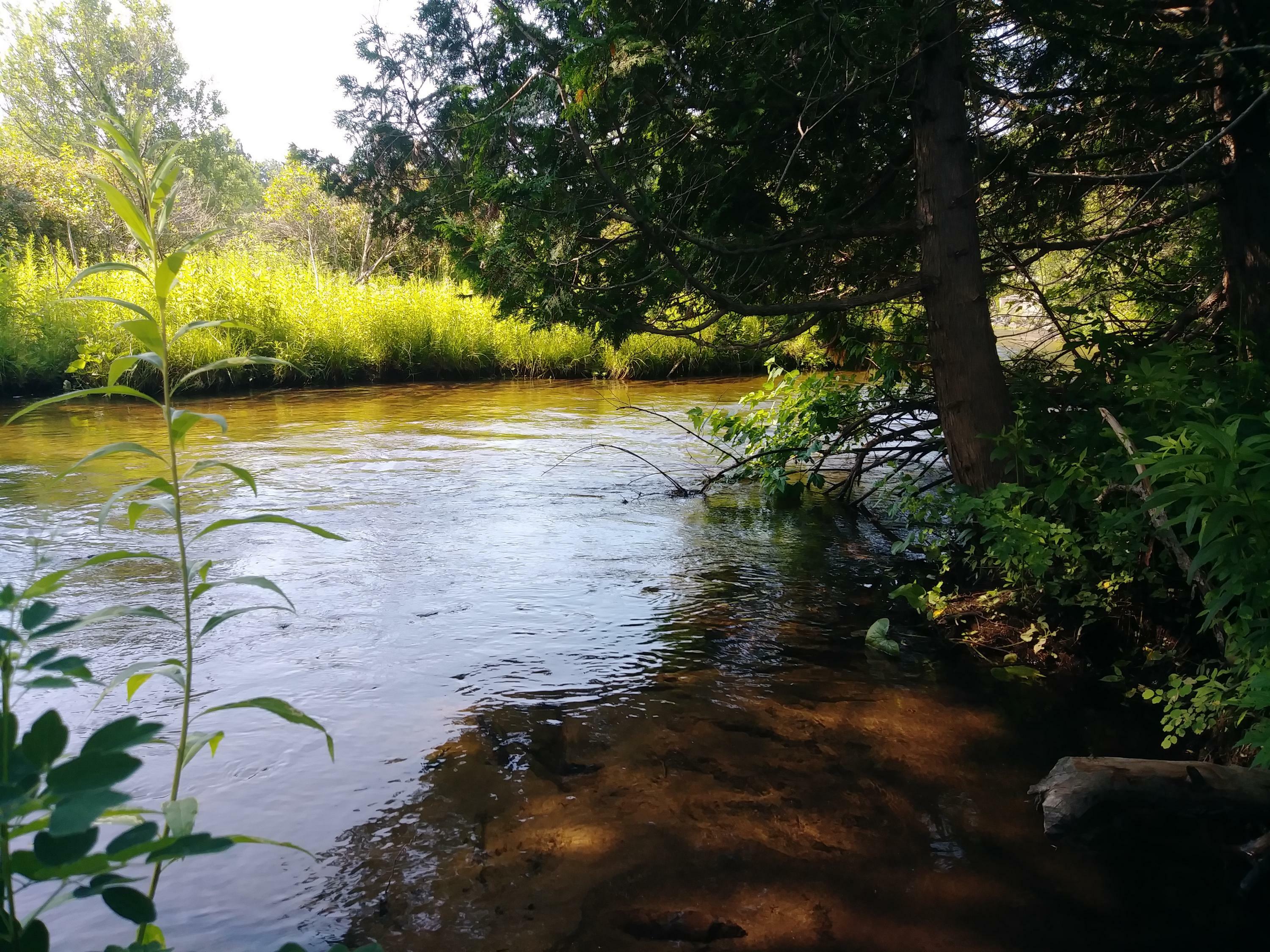 Property Photo: 13986 Shire Road MI 49799