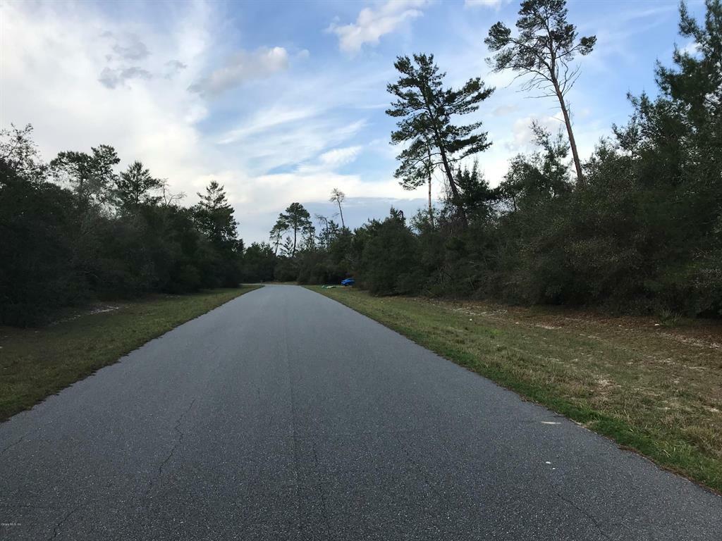 Property Photo:  Lot 10 SW 161st Loop  FL 34473 