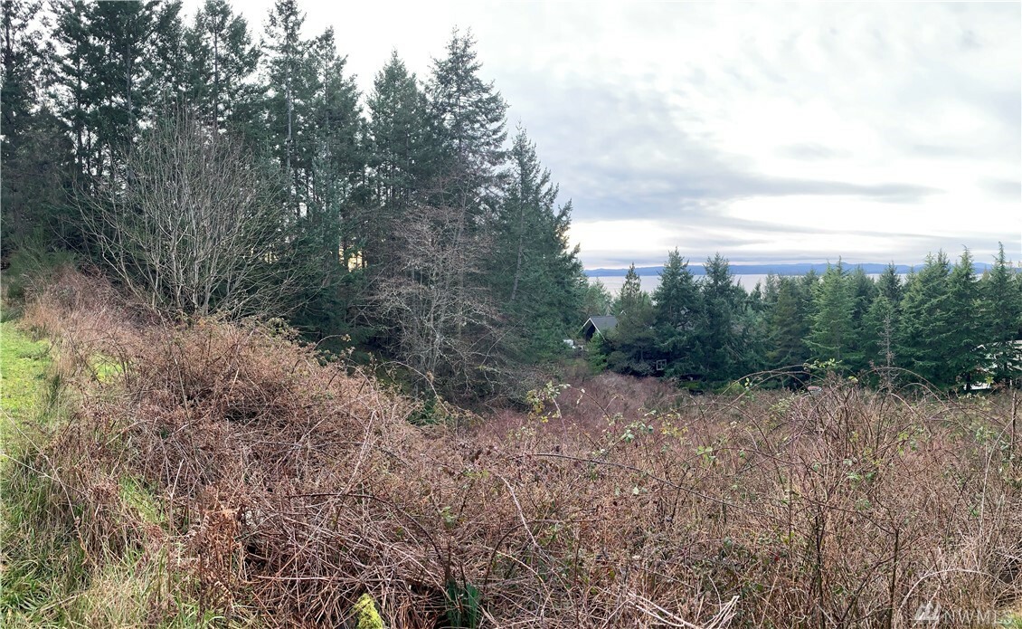 Property Photo:  Xxx Spyglass Hill Rd  WA 98250 