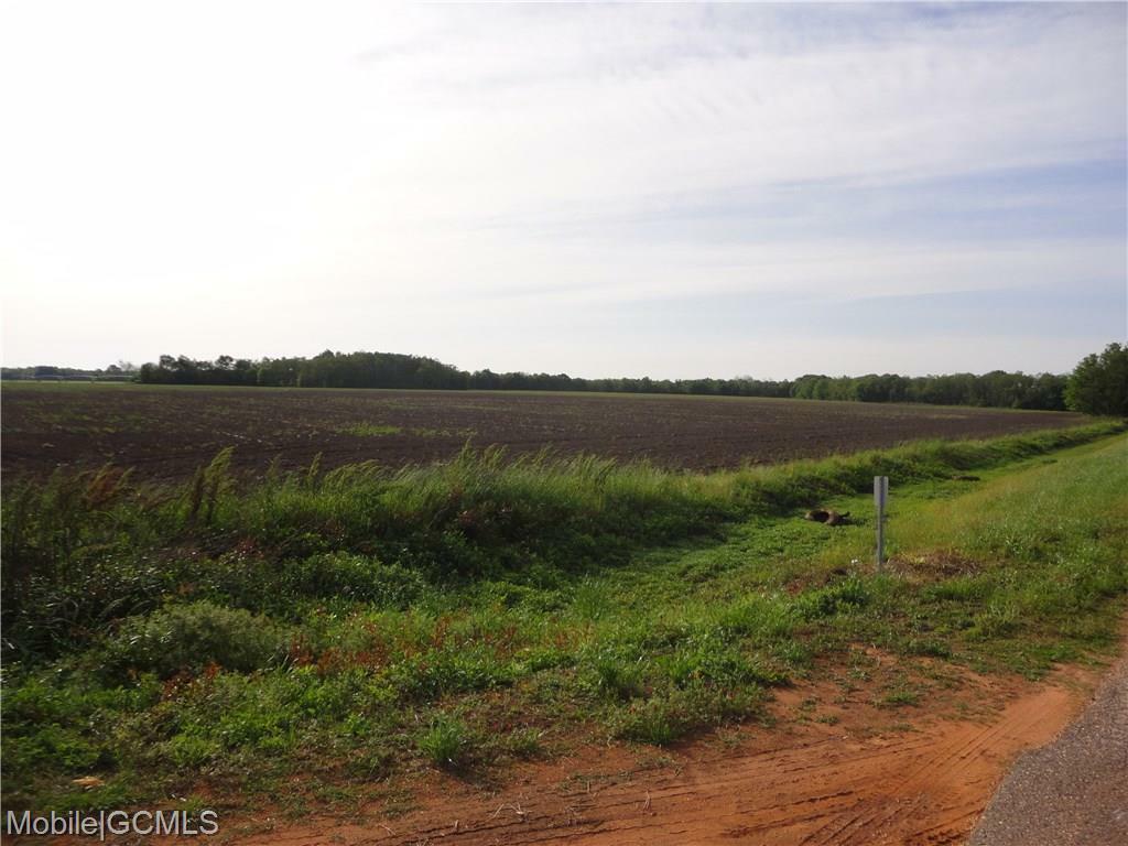 Davis Road  Summerdale AL 36580 photo