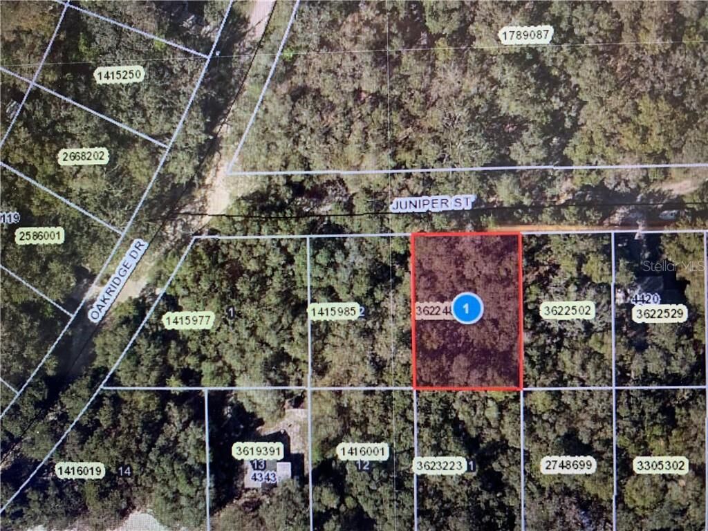 Property Photo: Juniper Street FL 32159