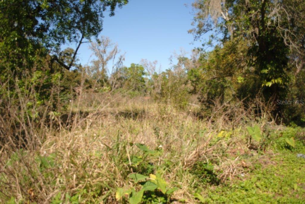 Property Photo:  729 Crystal Lake Road  FL 33548 