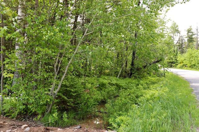 Property Photo: 0 Garmish Street NY 12937