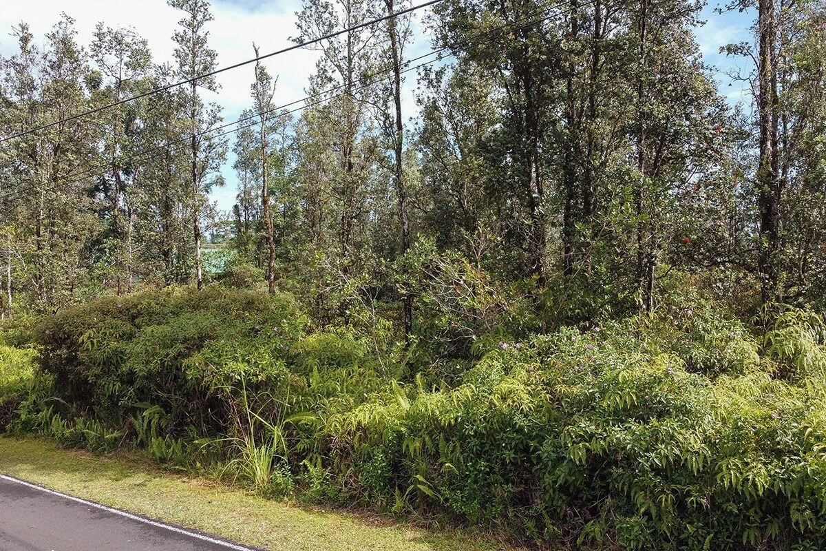 Property Photo:  Paradise Dr  HI 96778 