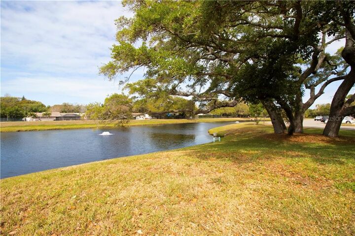 Property Photo: 2229 Americus Boulevard W 33 FL 33763