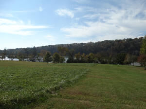 Property Photo: Lot 80 Marble View Drive TN 37763