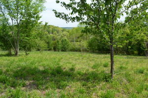 Port Loga Vista Lane  Harriman TN 37748 photo