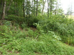 Property Photo:  7807 Stanley Rd  TN 37849 