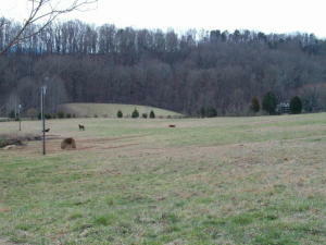 Property Photo:  369 Craighead Rd  TN 37354 