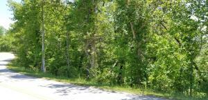 Property Photo:  Lot 311 Gun Powder Rd  TN 37854 