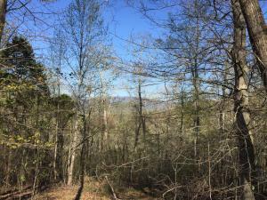 Property Photo:  Smith Hollow Rd  TN 37709 