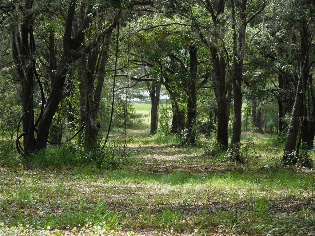 Property Photo:  N Em En El Grove Road  FL 34788 